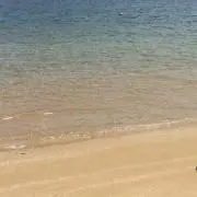 sea