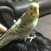 ゆみごん☆