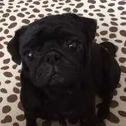 まっちゃん