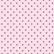 みちの画像
