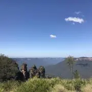 ちょこの画像