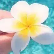 akの画像