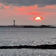 おにぷりんの画像