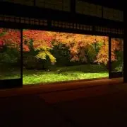h245の画像