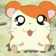 あちゃんの画像