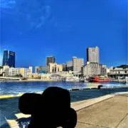 どら77の画像