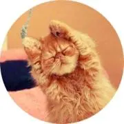みるこ