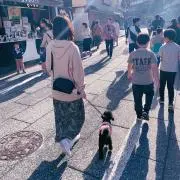 りのぴの画像