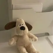 chiitoの画像