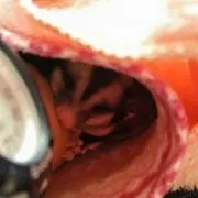えきぞはうす