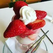 Pomponの画像