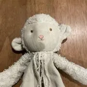 ひーちゃんの画像