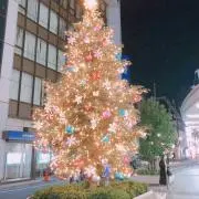 おにぎりの画像