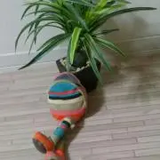 よしむ