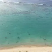 ブルーウォーターの画像
