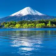 FUJIの画像