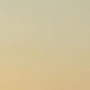 ユズの画像