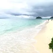 h.a.___fの画像
