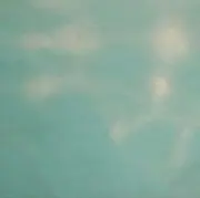 春の画像