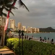 テリーの画像