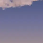 mgの画像