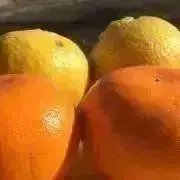 アカウント変更します 広津農園