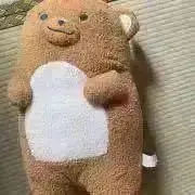 ゆず太郎•ᴥ•2026断捨離なうの画像