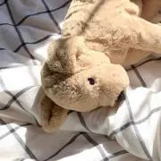 りりり