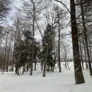 。