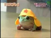 ナシテ