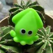アルアルの画像