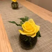 ショコラの画像