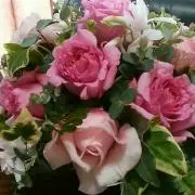 cc8585の画像