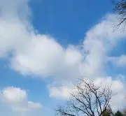 skyの画像