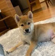 みずの画像