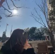タルトの画像
