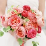 Sakura555の画像