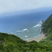 Koaの画像