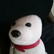 100年の画像