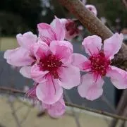 KOU☆の画像