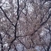 燦々 (さんさん)~只今在庫整理中~
