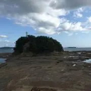 peco