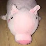 とんかつトンちゃん