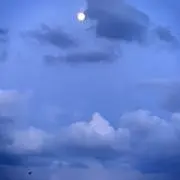 エイミー