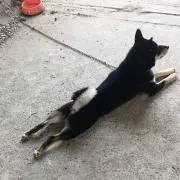 ふゆの画像