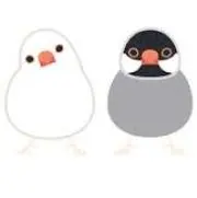 chiiの画像