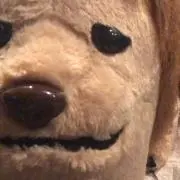 もえの画像