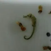 多忙（プロフ見てコメントを）の画像
