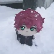 sonの画像
