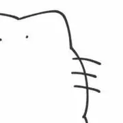 ヤマヌコの画像